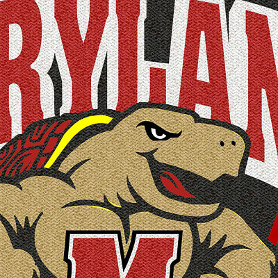 University of Maryland Terapins Embroidered Patch