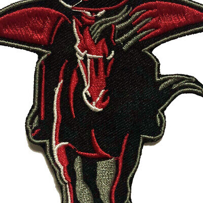Texas Tech Raiders Embroidered Patch
