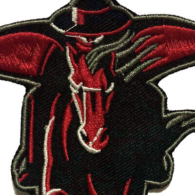 Texas Tech Raiders Embroidered Patch