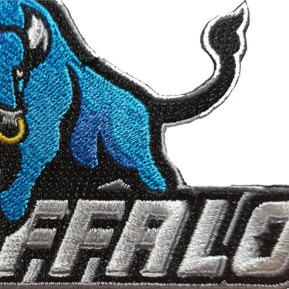 University at Buffalo New York Embroidered Patch