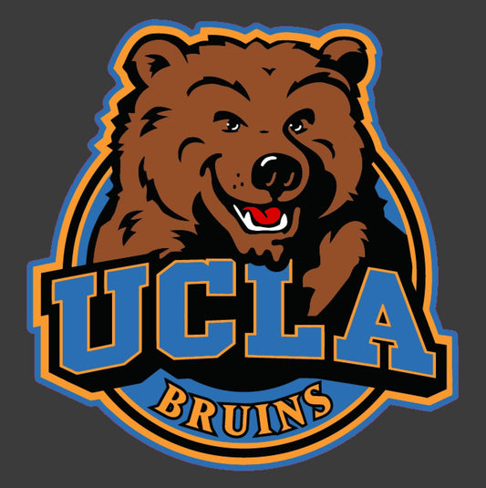 UCLA University of California Bruins Embroidered Patch