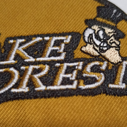 Wake Forest Demon Deacons Embroidered Patch